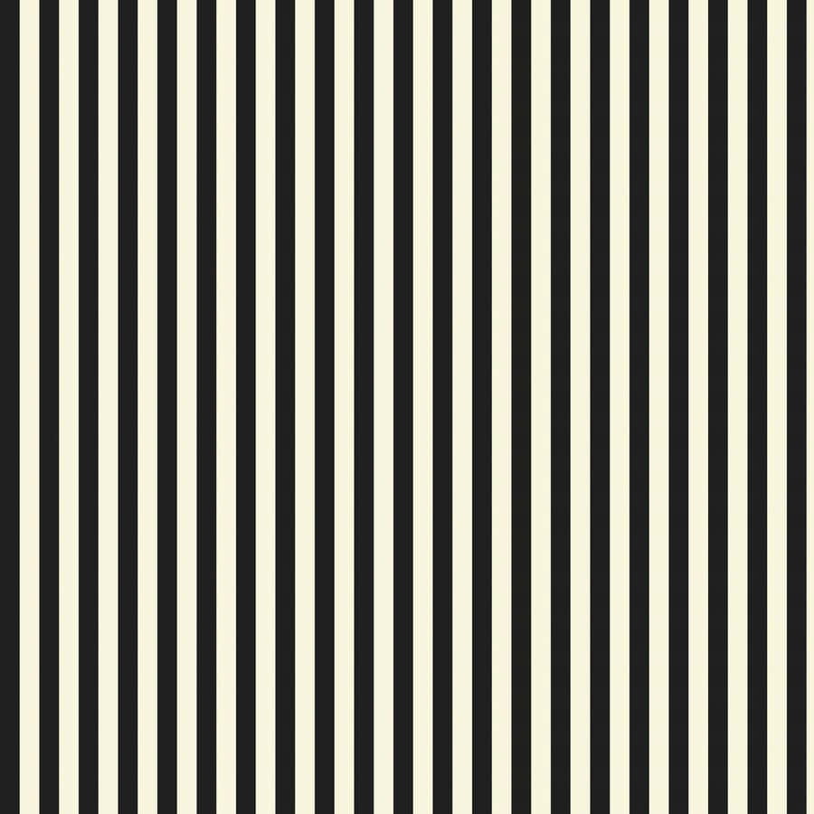 Striking Black And White Stripes Wallpaper