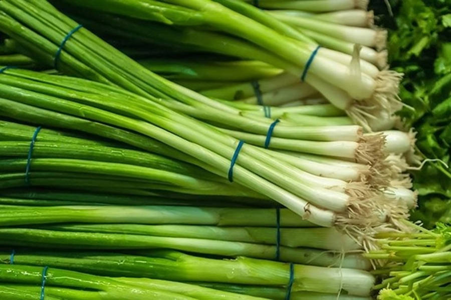 Strings Of Fresh Piled Spring Onions Wallpaper