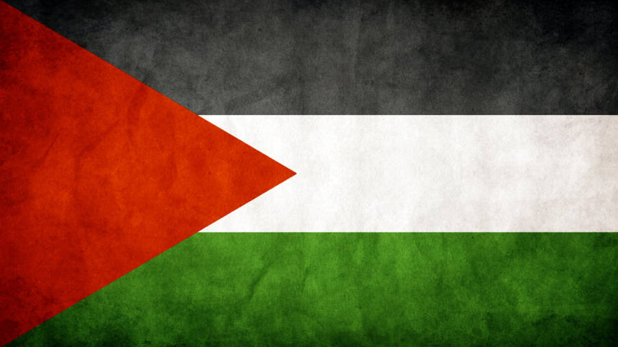 Strong And Resilient - The Textured Flag Of Palestine Wallpaper