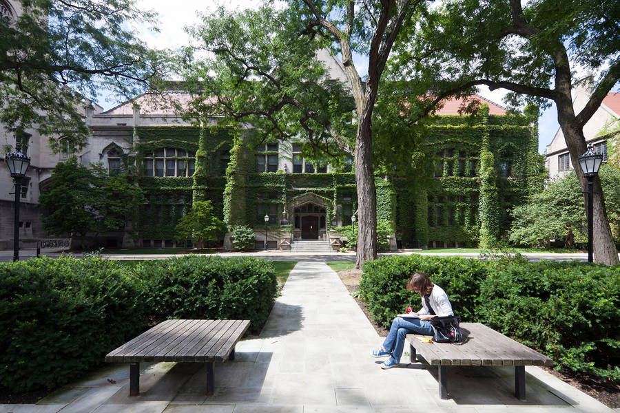 Student University Of Chicago Wallpaper