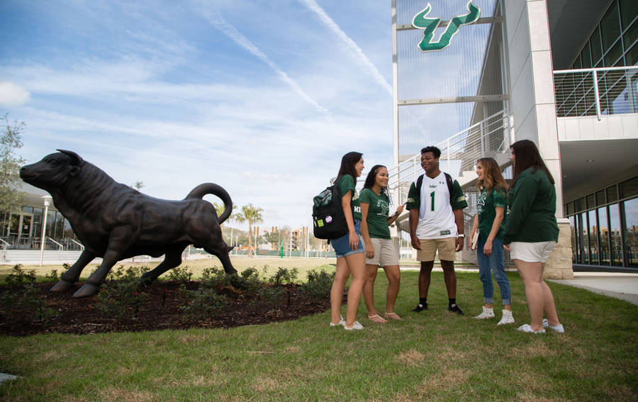 Students At University Of South Florida Wallpaper