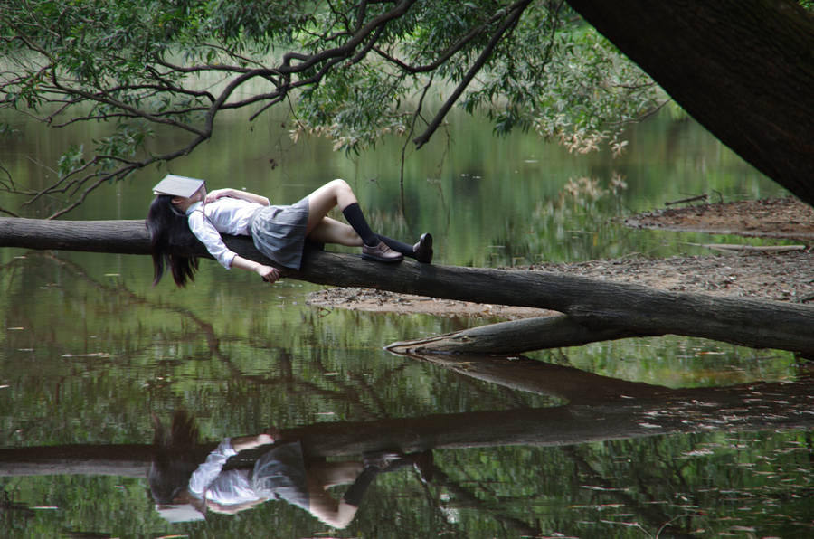 Studying In A Lake Wallpaper