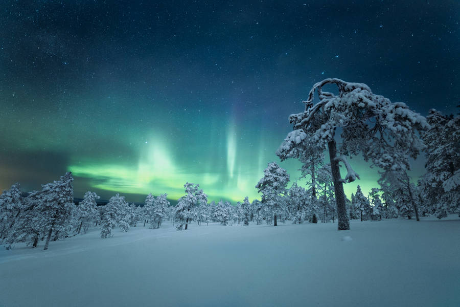 Stunning Aurora Borealis Of Finland Wallpaper