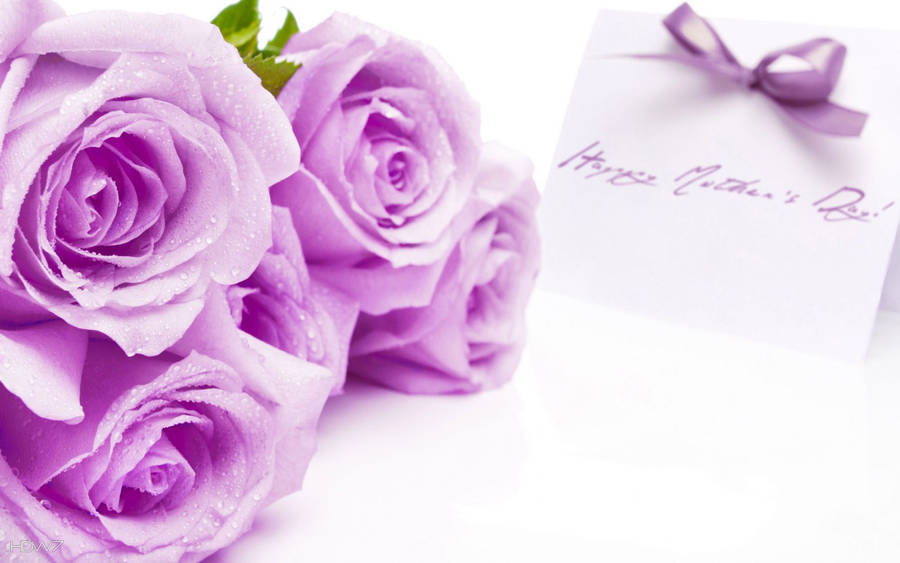 Stunning Bouquet Of Purple Roses For Mother's Day Wallpaper