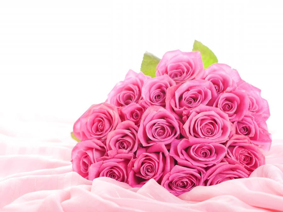 Stunning Bouquet Of Vivid Pink Roses Wallpaper