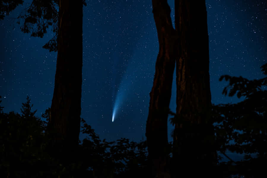 Stunning Comet In The Night Sky Wallpaper