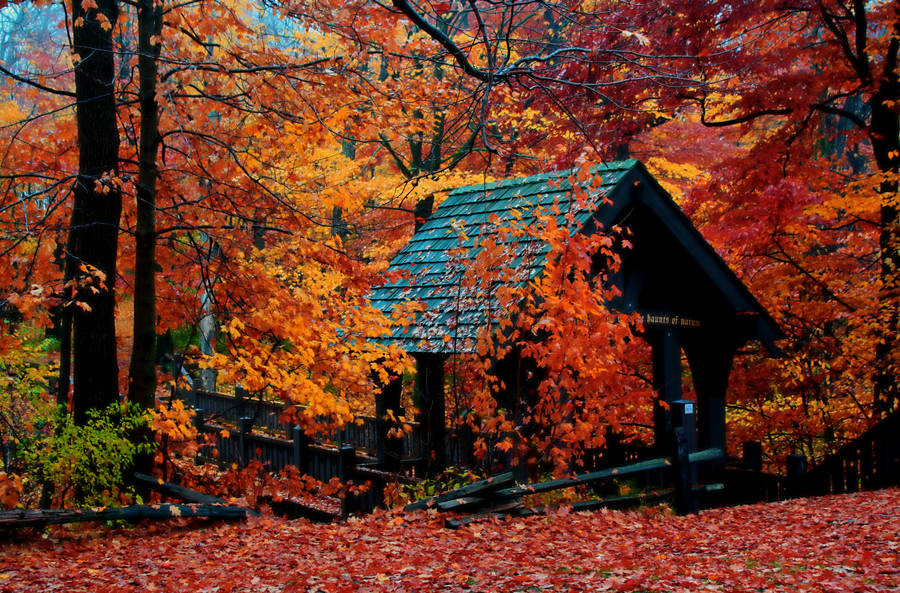 Stunning Fall Season In Milwaukee Wallpaper