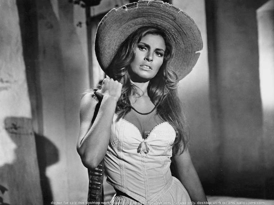 Stunning Raquel Welch In Beauteous Pose Wallpaper