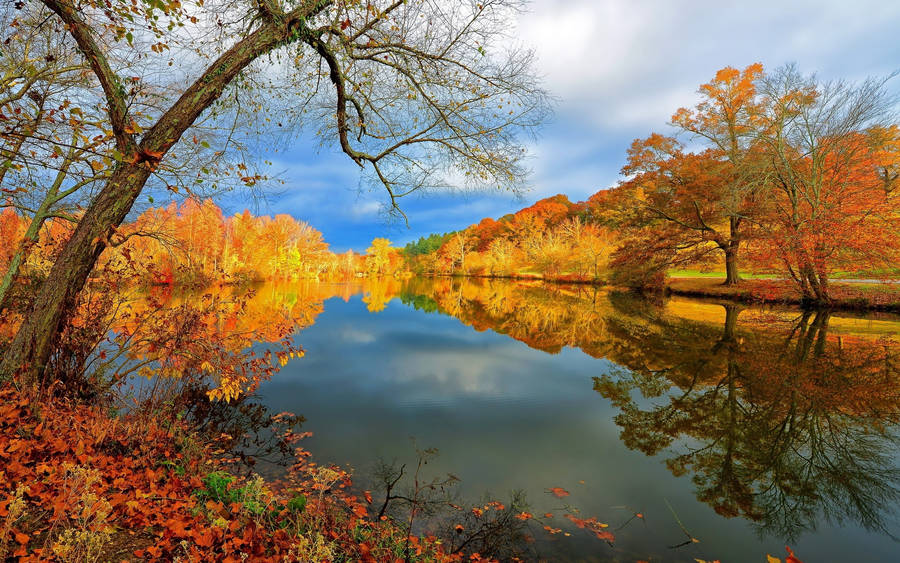 Stunning Riverside In The Fall Wallpaper