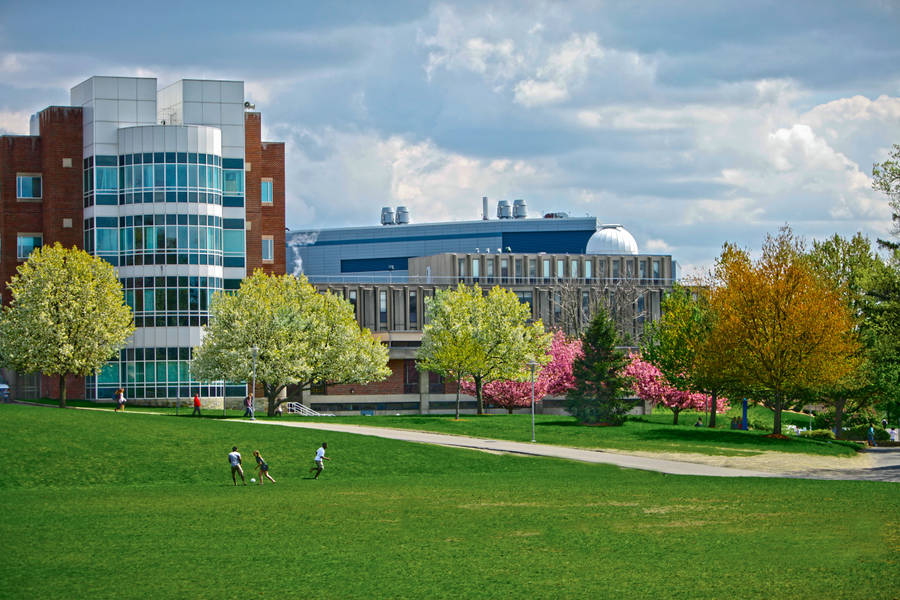 Stunning View Of Brandeis University Campus Wallpaper