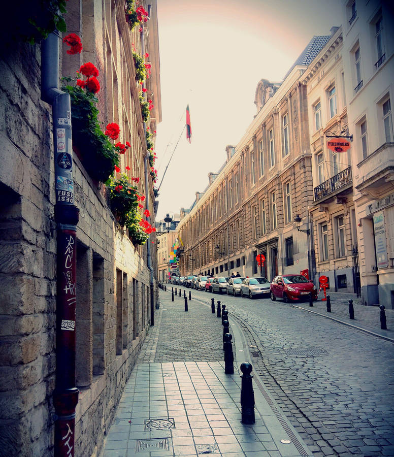 Stunning View Of Flower Decorated Balconies In Brussels Wallpaper