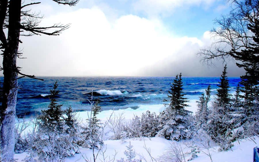 Stunning Winter Wonderland Wallpaper