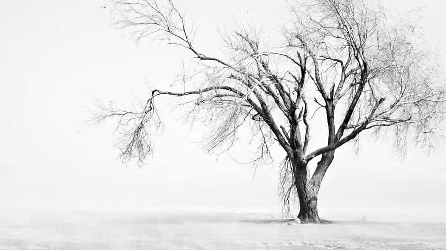 Style And Substance In A White Aesthetic Laptop Wallpaper