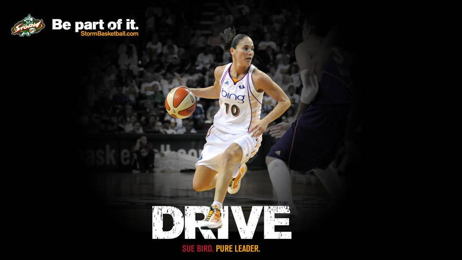 Sue Bird Drive Poster Wallpaper