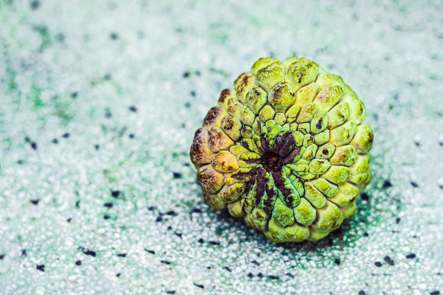 Sugar Apple Sharp Image Wallpaper