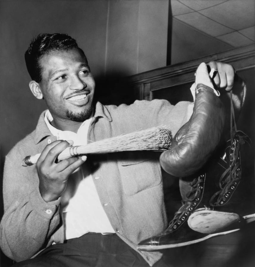 Sugar Ray Robinson Polishing His Gloves Wallpaper