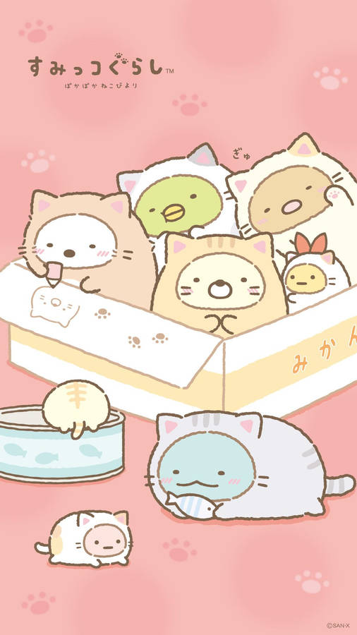 Sumikko Gurashi In Cat Onesies Wallpaper