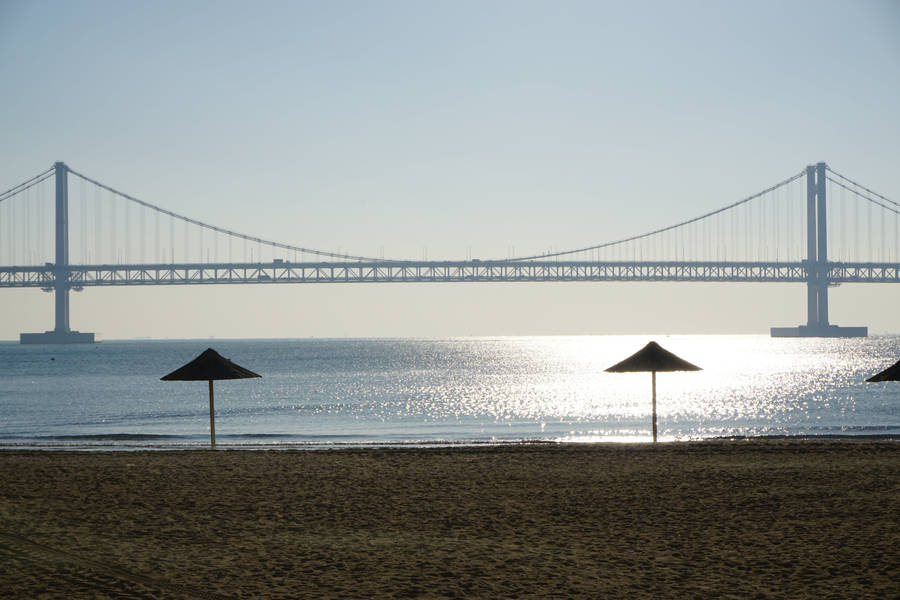 Summer Beach In Busan City Wallpaper