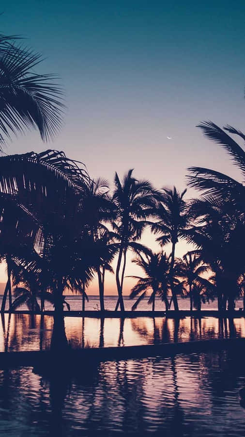Summer Beach Iphone Palm Three Silhouette Wallpaper