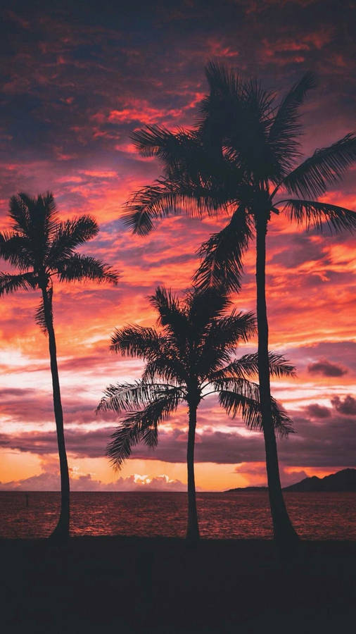 Summer Vibes Red Sky Wallpaper