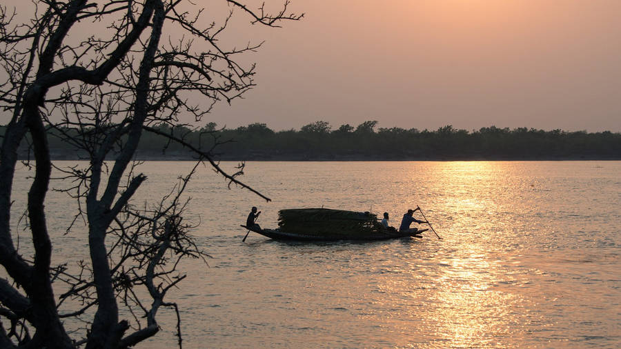 Sundarbans Bangladesh River Wallpaper