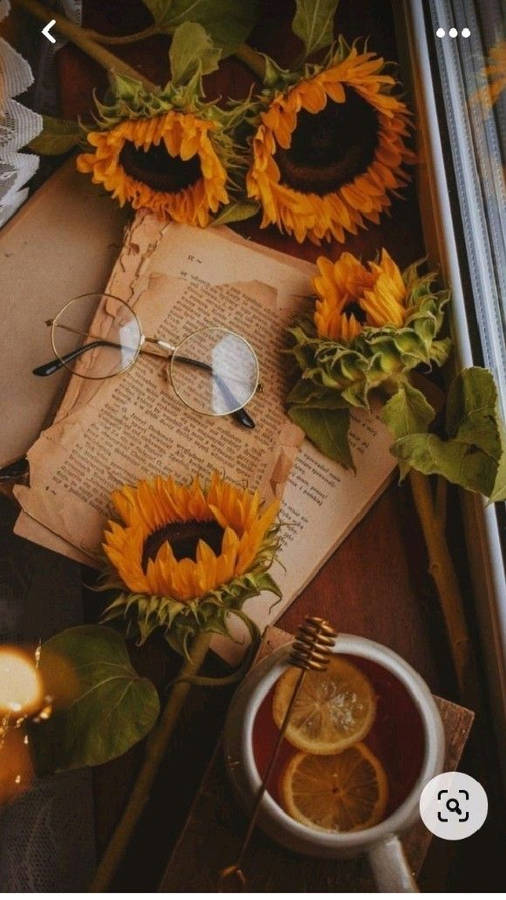 Sunflower Cool Vibes Wallpaper