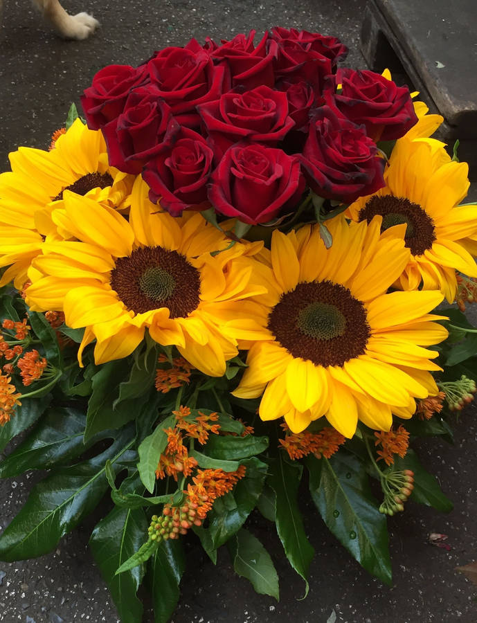 Sunflowers And Roses Valentines Buoquet Wallpaper