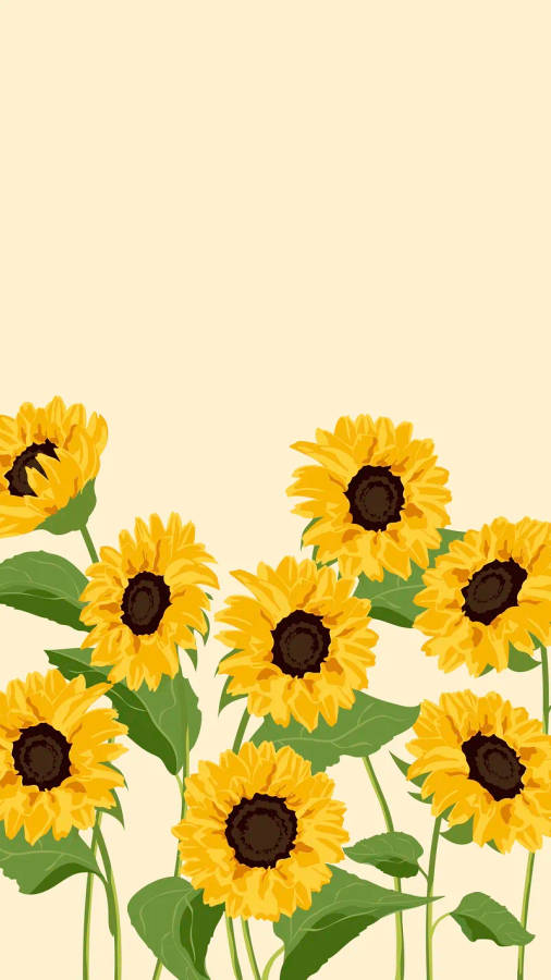 Sunflowers Digital Art Spring Iphone Wallpaper
