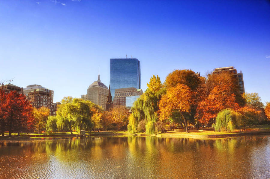 Sunny Day In Boston Wallpaper