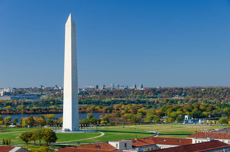 Sunny Day Washington Monument Wallpaper