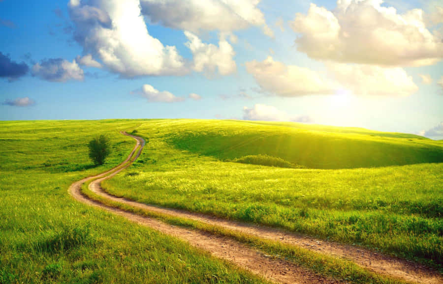 Sunny Hill Road Path Wallpaper