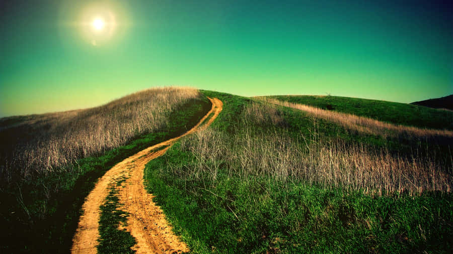 Sunny_ Hillside_ Trail.jpg Wallpaper