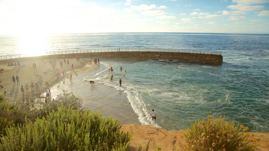 Sunny La Jolla Beach San Diego Wallpaper