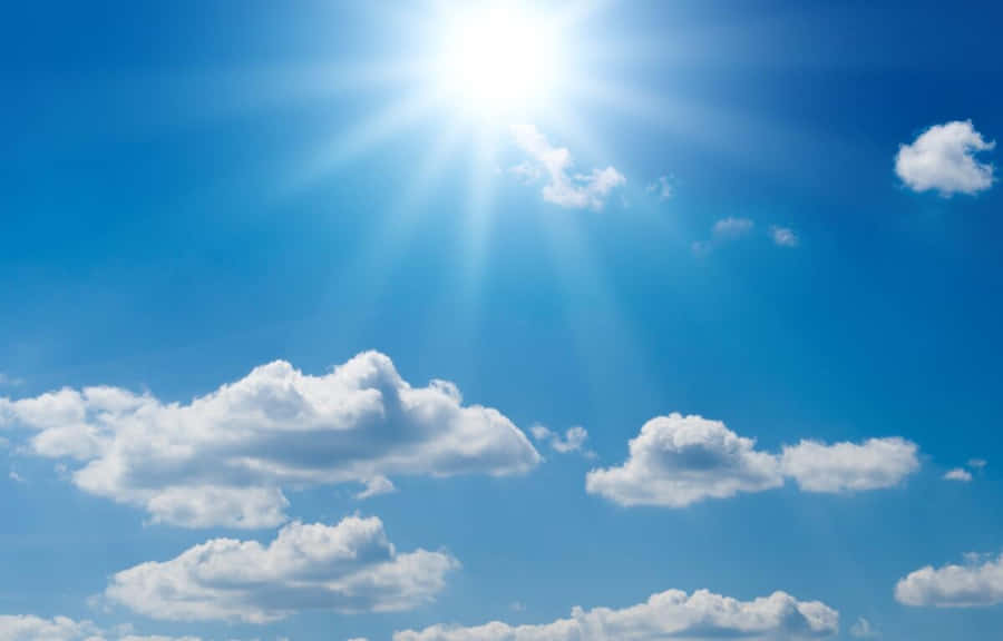 Sunny Rays During Summer Season Wallpaper