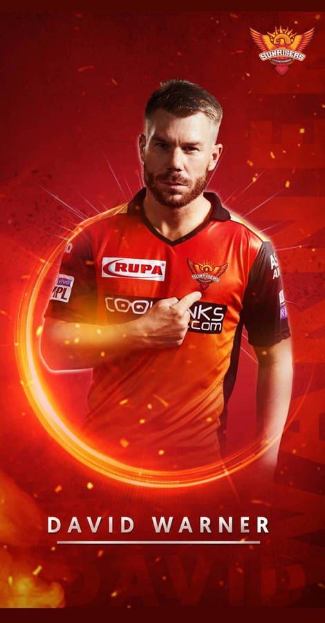 Sunrisers Hyderabad Batsman Poster Of Warner Wallpaper