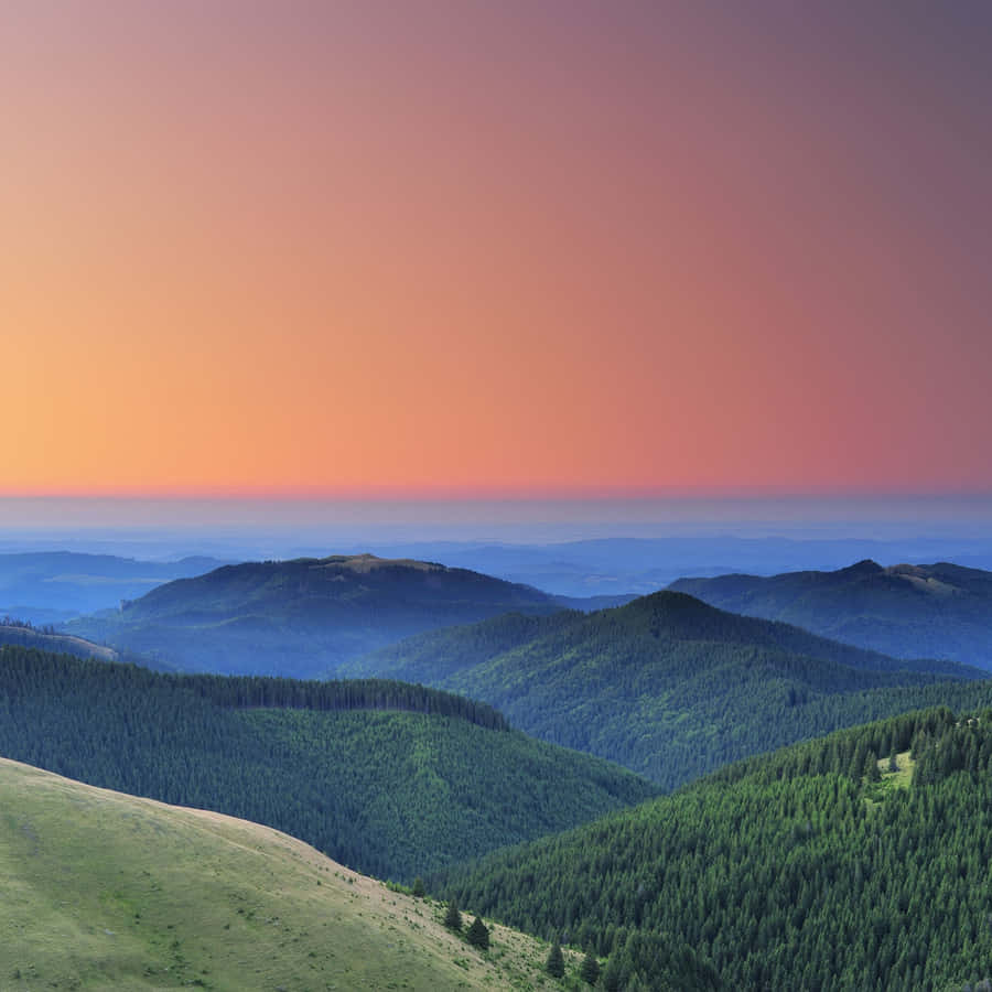 Sunset And Nature Ipad Wallpaper