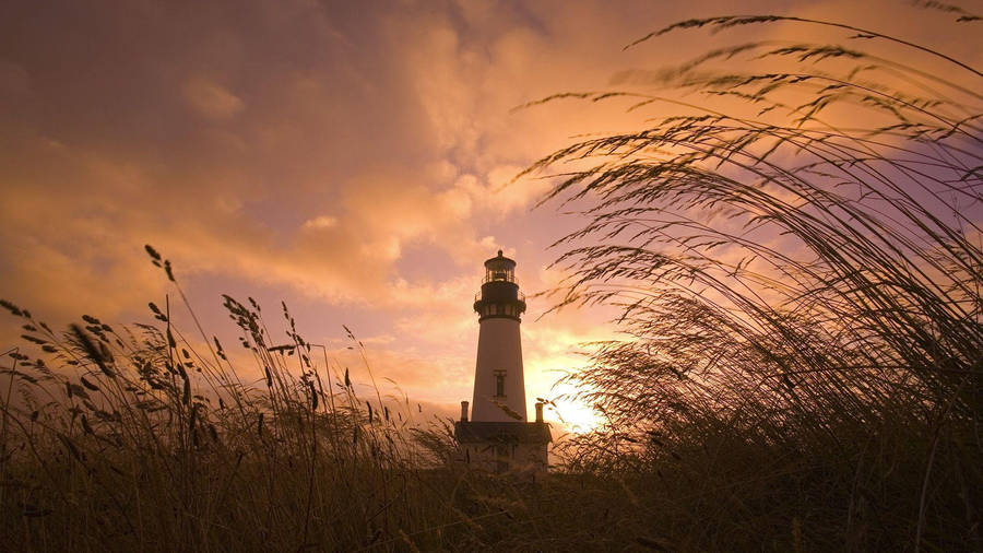 Sunset Field Lighthouse Wallpaper