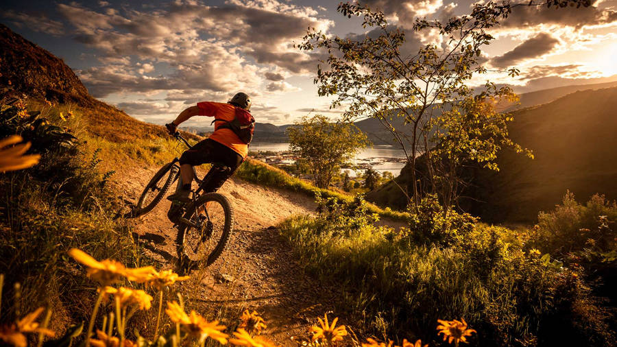 Sunset Hillside Mountain Biking Wallpaper