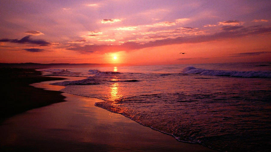 Sunset On The Dark Beach Wallpaper