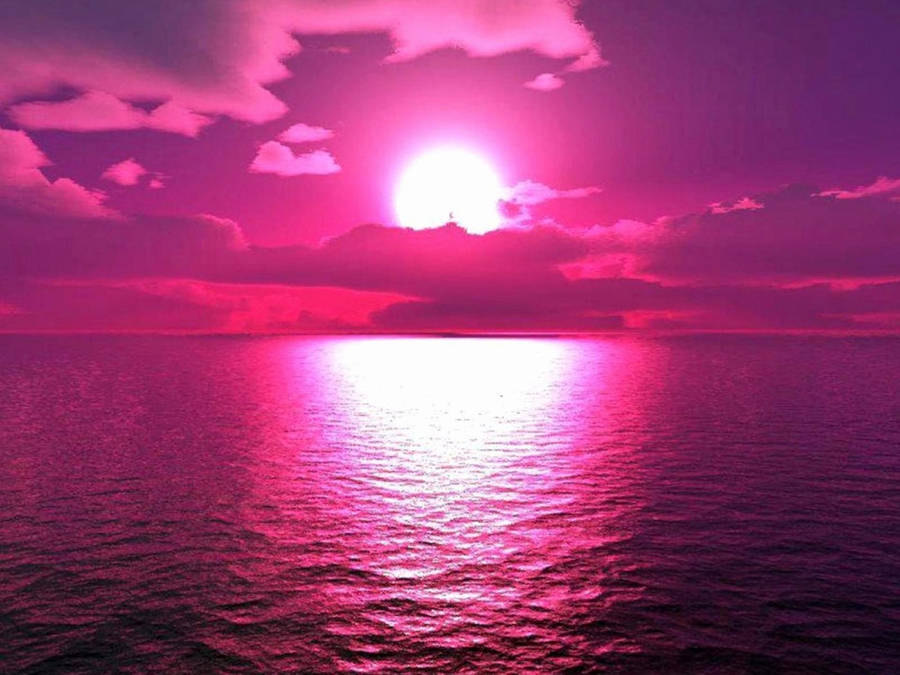 Sunset Pink Neon Aesthetic Wallpaper