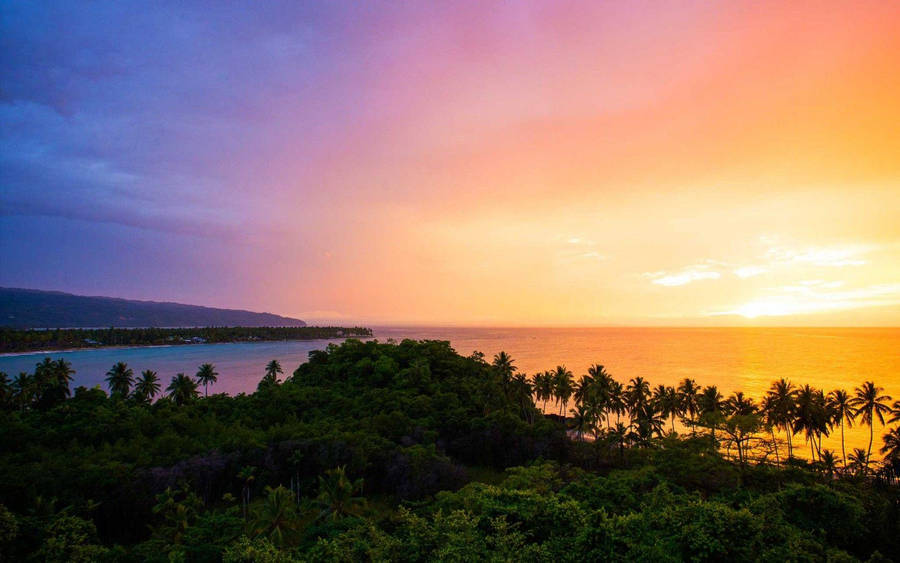 Sunset Sky Dominican Republic Forest Wallpaper