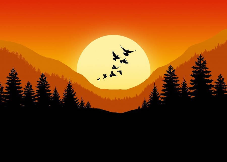 Sunset Sky Vector Art Wallpaper