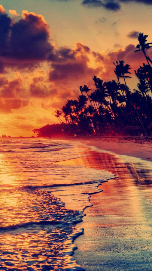 Sunset View Beach Shoreline Iphone Wallpaper