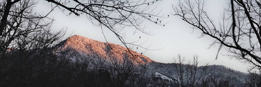 Sunset With Trees On Smoky Mountains Wallpaper