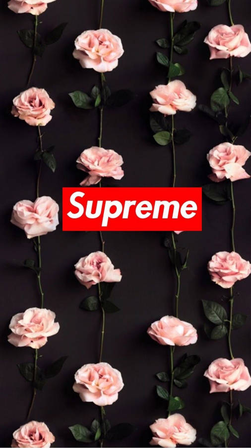 Supreme Pink Flowers Cute Iphone Wallpaper