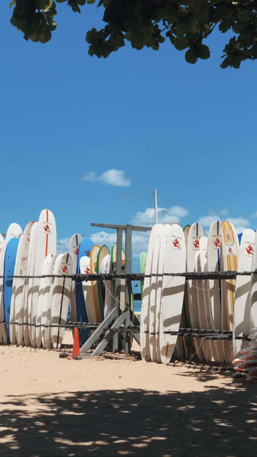 Surfboards Aesthetic Hawaii Mobile Wallpaper