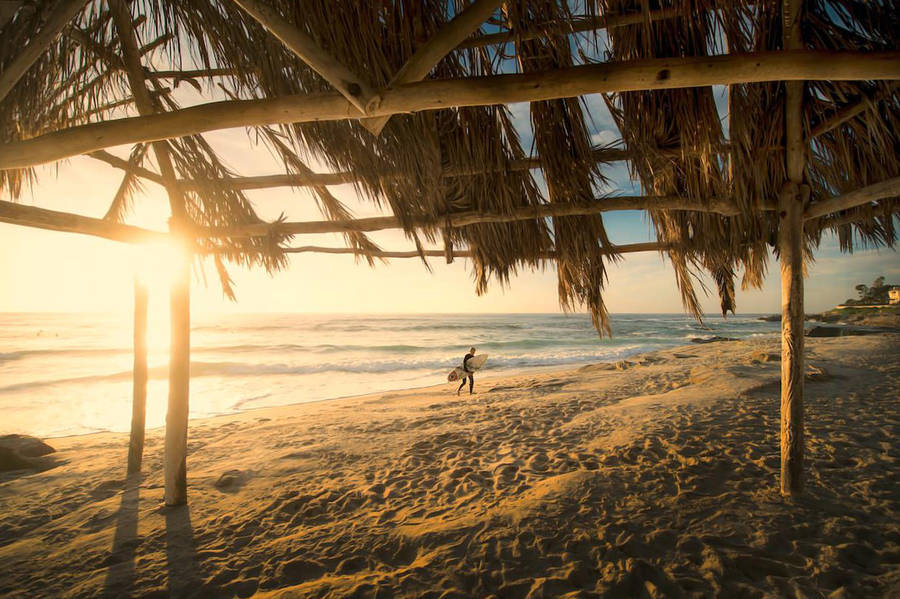 Surfer On San Diego Beach Wallpaper