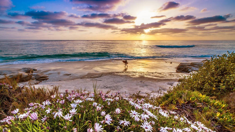 Surfer Strolling Malibu Beach Wallpaper