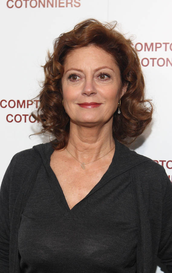 Susan Sarandon Award Winning Actress Wallpaper