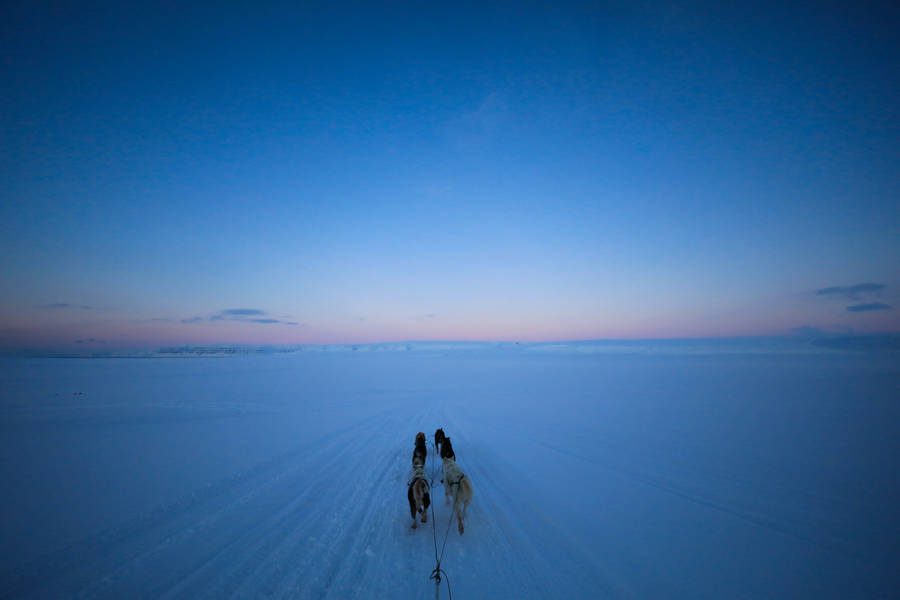 Svalbard Blue Pink Sky Wallpaper